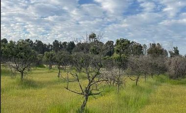 Parcela en Venta en I-214