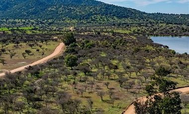 Parcela en Venta en I-214