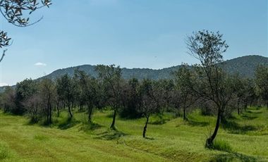 Parcela en Venta en I-214