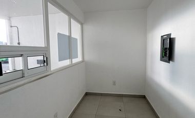 Local - San Pedro Totoltepec