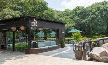 Departamento - Renta amueblado con Terraza en Residencial La Enramada