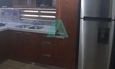 Renta de Departamentos  Ejecutivos Amueblados