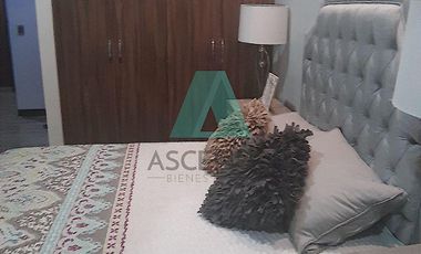 Renta de Departamentos  Ejecutivos Amueblados