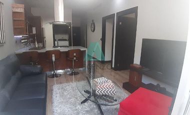 Renta de Departamentos  Ejecutivos Amueblados