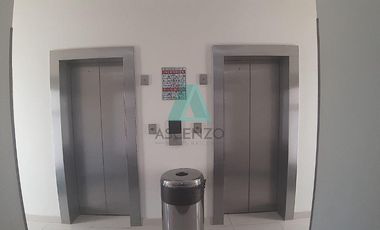 Renta de Departamentos  Ejecutivos Amueblados