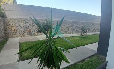 Renta de Departamentos  Ejecutivos Amueblados