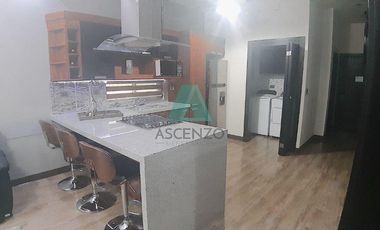 Renta de Departamentos  Ejecutivos Amueblados