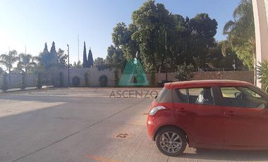 Renta de Departamentos  Ejecutivos Amueblados