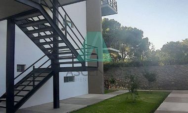 Renta de Departamentos  Ejecutivos Amueblados