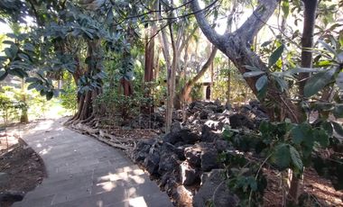 Quinta - Fraccionamiento Pedregal de las Fuentes