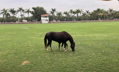 RENTA VILLA BALVANERA POLO COUNTRY CLUB