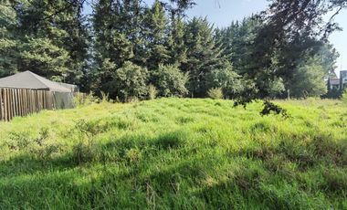 Terreno en renta en el ejido de la Campana muy cerca de la carretera Toluca-Mexico