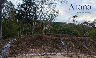 Terreno Comunal a 10 Minutos del Aeropuerto Internacional de Bahías de Huatulco
