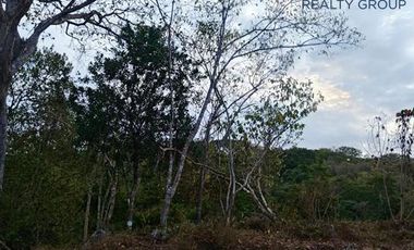 Terreno Comunal a 10 Minutos del Aeropuerto Internacional de Bahías de Huatulco