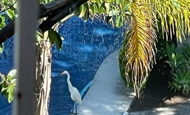 Casa en Pueblo Alpuyeca