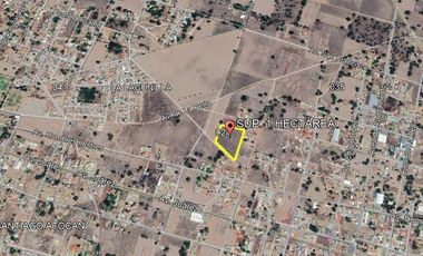 GRAN TERRENO EN VENTA. NEXTLALPAN AV. 20 DE NOVIEMBRE. SUP. 1 HECTÁREA.
