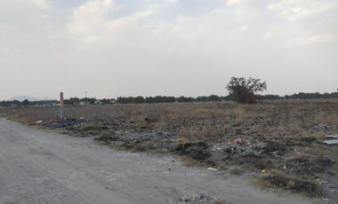 GRAN TERRENO EN VENTA. NEXTLALPAN AV. 20 DE NOVIEMBRE. SUP. 1 HECTÁREA.