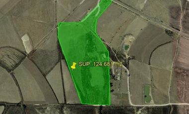 TERRENO EN VENTA SAN AGUSTIN, EL CUREVO POLOTITLAN, EDO. MEX SUP 124,681 m2