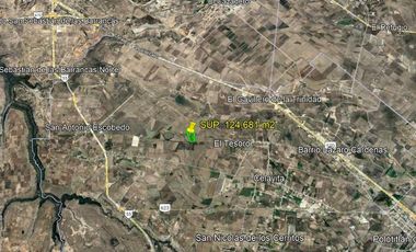 TERRENO EN VENTA SAN AGUSTIN, EL CUREVO POLOTITLAN, EDO. MEX SUP 124,681 m2