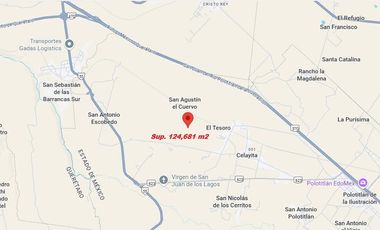 TERRENO EN VENTA SAN AGUSTIN, EL CUREVO POLOTITLAN, EDO. MEX SUP 124,681 m2