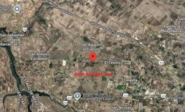 TERRENO EN VENTA SAN AGUSTIN, EL CUREVO POLOTITLAN, EDO. MEX SUP 124,681 m2