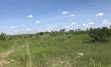 Terreno en El Llano, Santa Clara, Aguascalientes