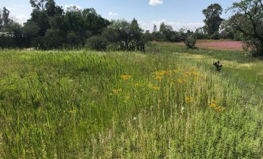 Terreno en El Llano, Santa Clara, Aguascalientes