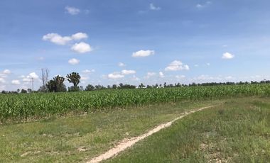 Terreno en El Llano, Santa Clara, Aguascalientes