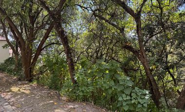 Terreno en  san martin la cañada