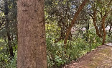 Terreno en  san martin la cañada