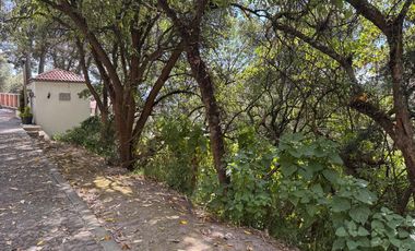 Terreno en  san martin la cañada