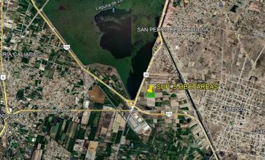 TERRENO EN VENTA JALTENCO ESTADO DE MÉXICO  SUP. 5 HECTÁREAS.