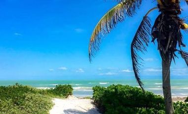 Casa Frente al Mar en Las Hermosas Playas de El Cuyo, Yucatán