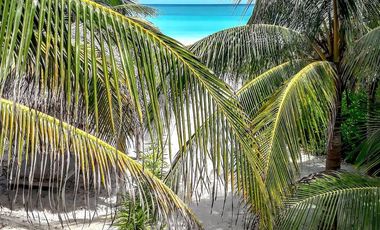 Casa Frente al Mar en Las Hermosas Playas de El Cuyo, Yucatán