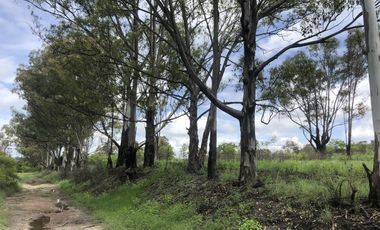 Terreno en  Venta en Valsequillo Puebla