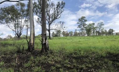 Terreno en  Venta en Valsequillo Puebla