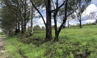 Terreno en  Venta en Valsequillo Puebla