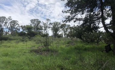 Terreno en  Venta en Valsequillo Puebla