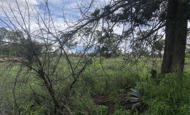 Terreno en  Venta en Valsequillo Puebla