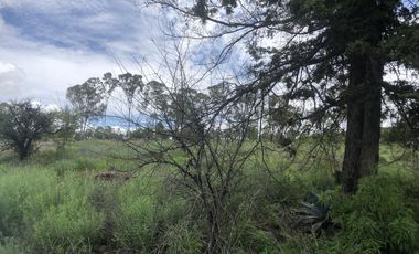 Terreno en  Venta en Valsequillo Puebla