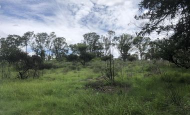 Terreno en  Venta en Valsequillo Puebla