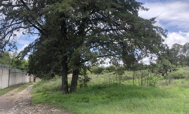 Terreno en  Venta en Valsequillo Puebla