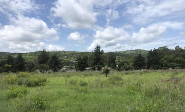 Terreno en  Venta en Valsequillo Puebla