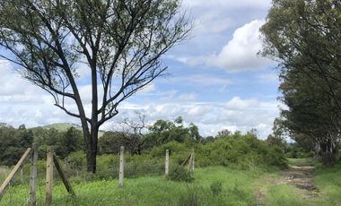 Terreno en  Venta en Valsequillo Puebla