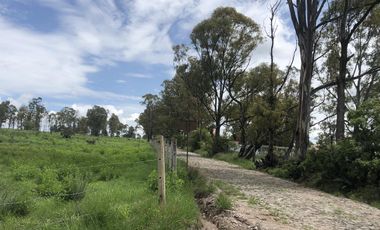 Terreno en  Venta en Valsequillo Puebla