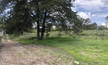 Terreno en  Venta en Valsequillo Puebla