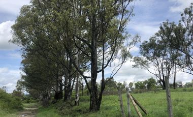 Terreno en  Venta en Valsequillo Puebla