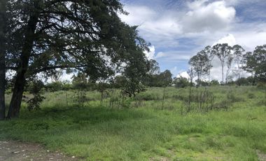 Terreno en  Venta en Valsequillo Puebla