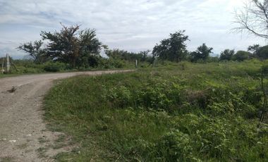 Terreno - Los Guajes, Xoxocotla, Morelos.