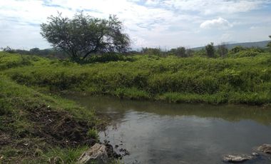 Terreno - Los Guajes, Xoxocotla, Morelos.